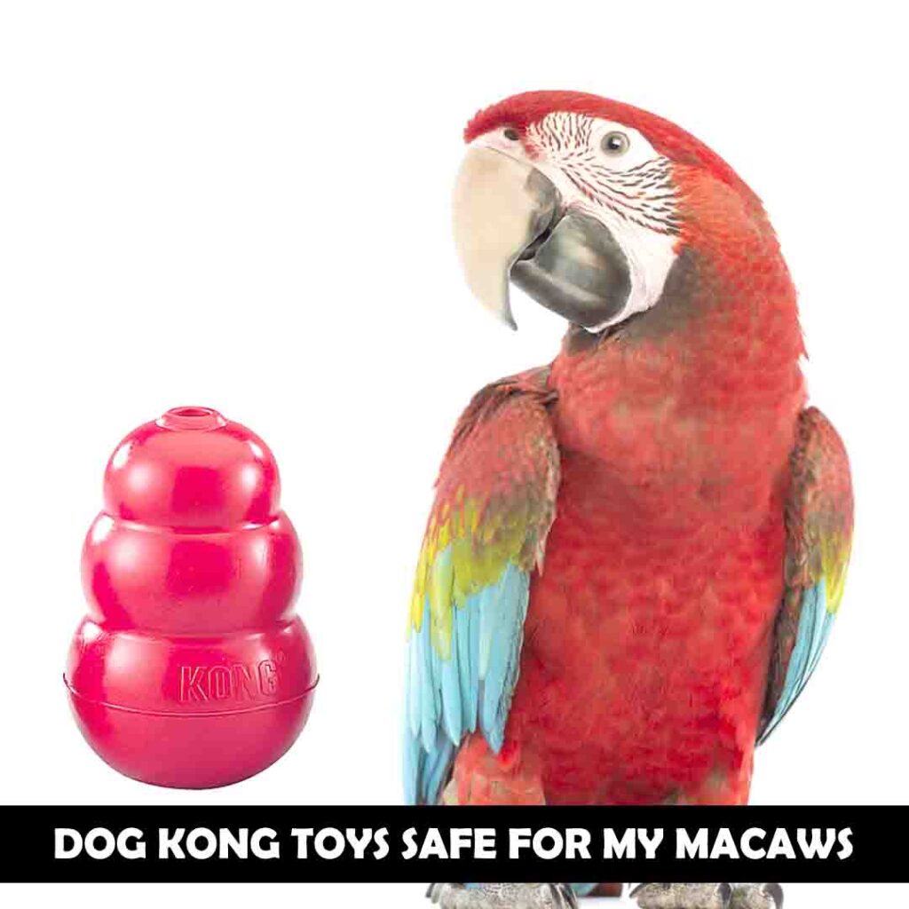 Kong Classic for macaws