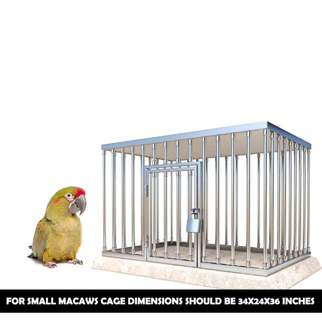 proper cage size for smaller macaws